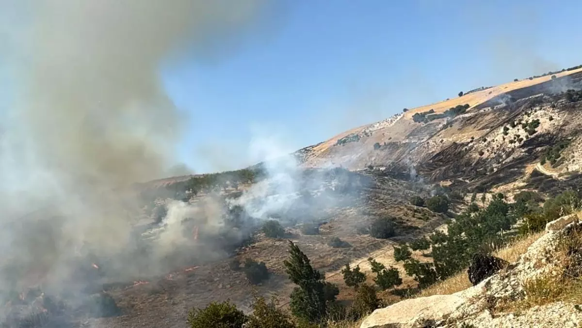 Adıyaman'ın Besni İlçesinde Yangın Korkusu