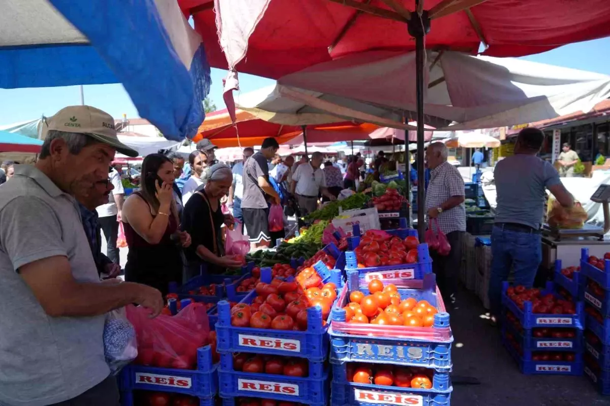 Erzincan Domatesi Bölge Sofralarını Süslüyor