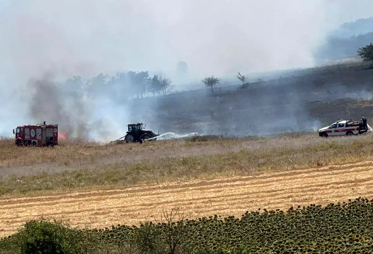 Tekirdağ'da Anız Yangınına Müdahale Devam Ediyor