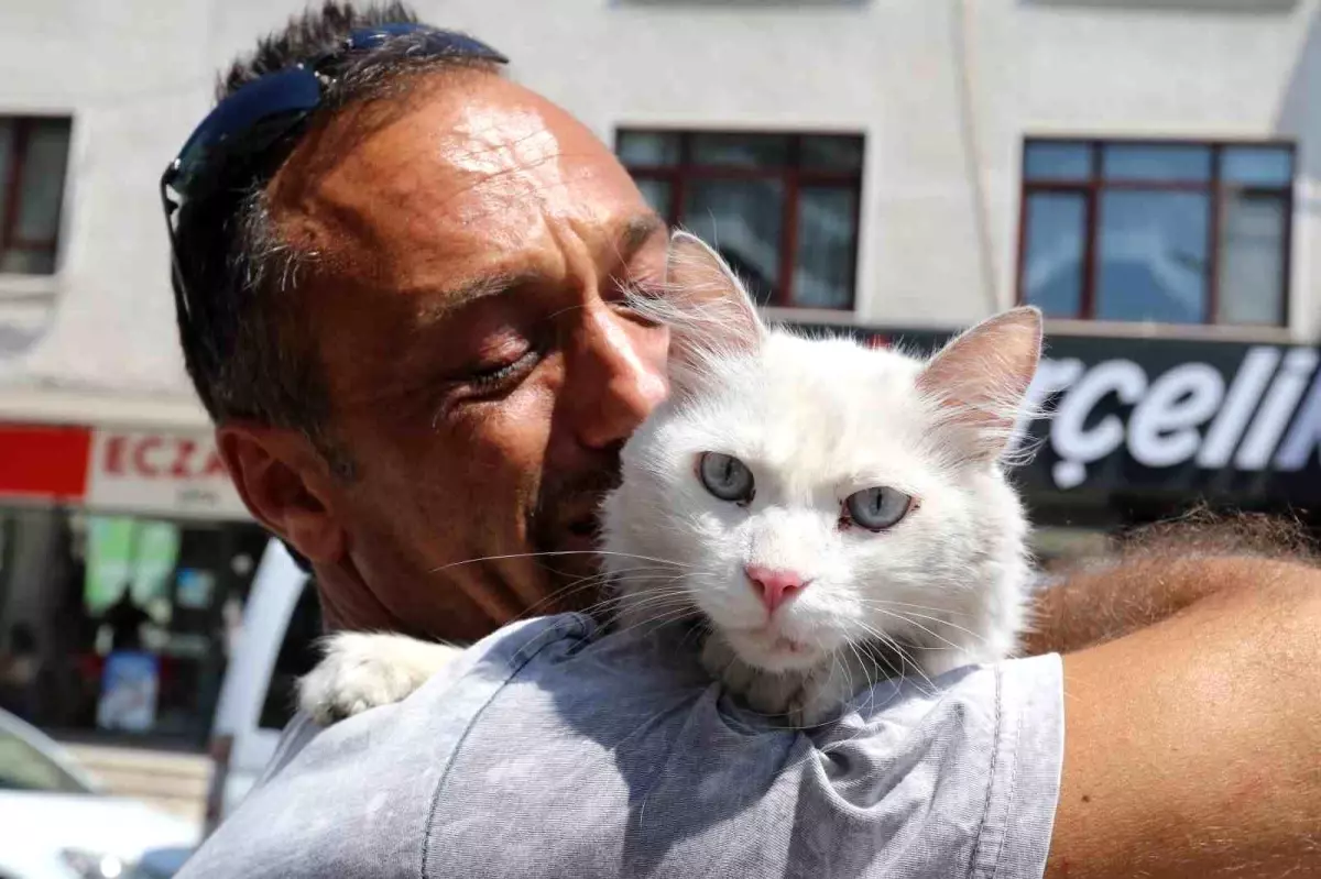 Gölcük'te Kayıp Kedi Sevgi ile Bulundu