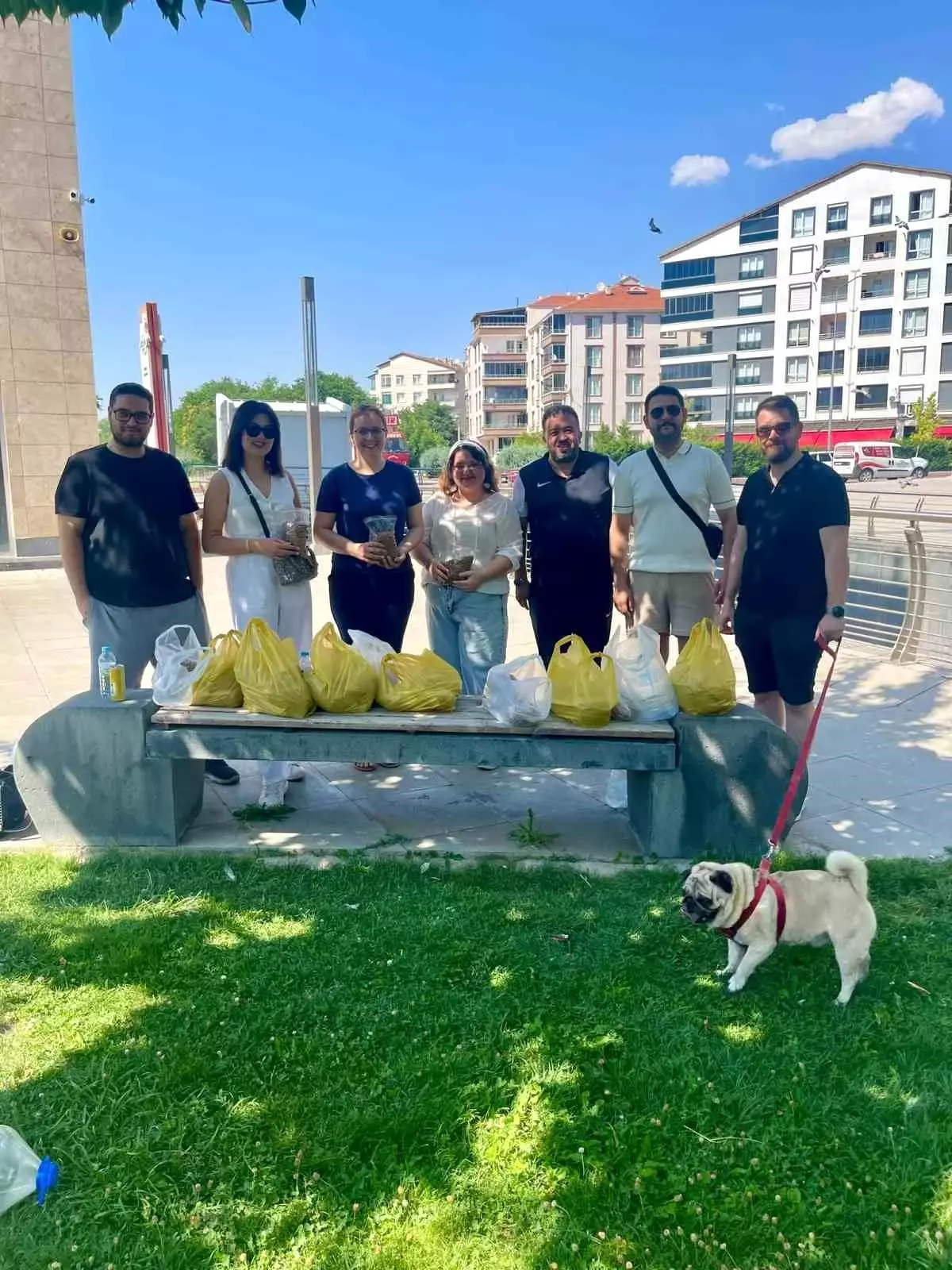Kırşehir'de Sokak Hayvanlarına Destek Etkinliği