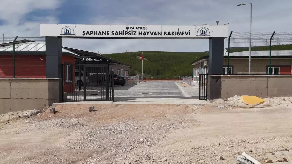 Kütahya'da Sahipsiz Sokak Hayvanları İçin Doğal Yaşam Alanları Açılıyor