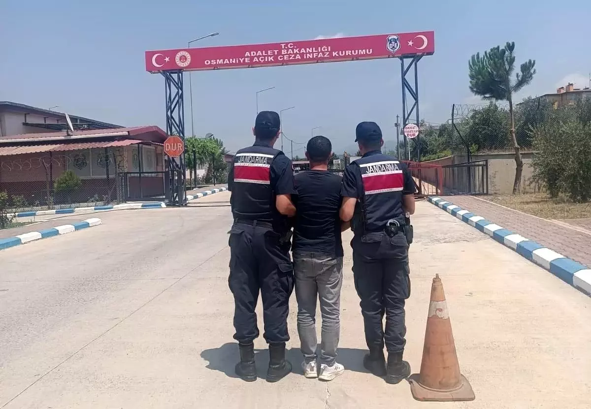 Osmaniye'de Jandarma Operasyonları: 123 Gözaltı ve Uyuşturucu Ele Geçirildi