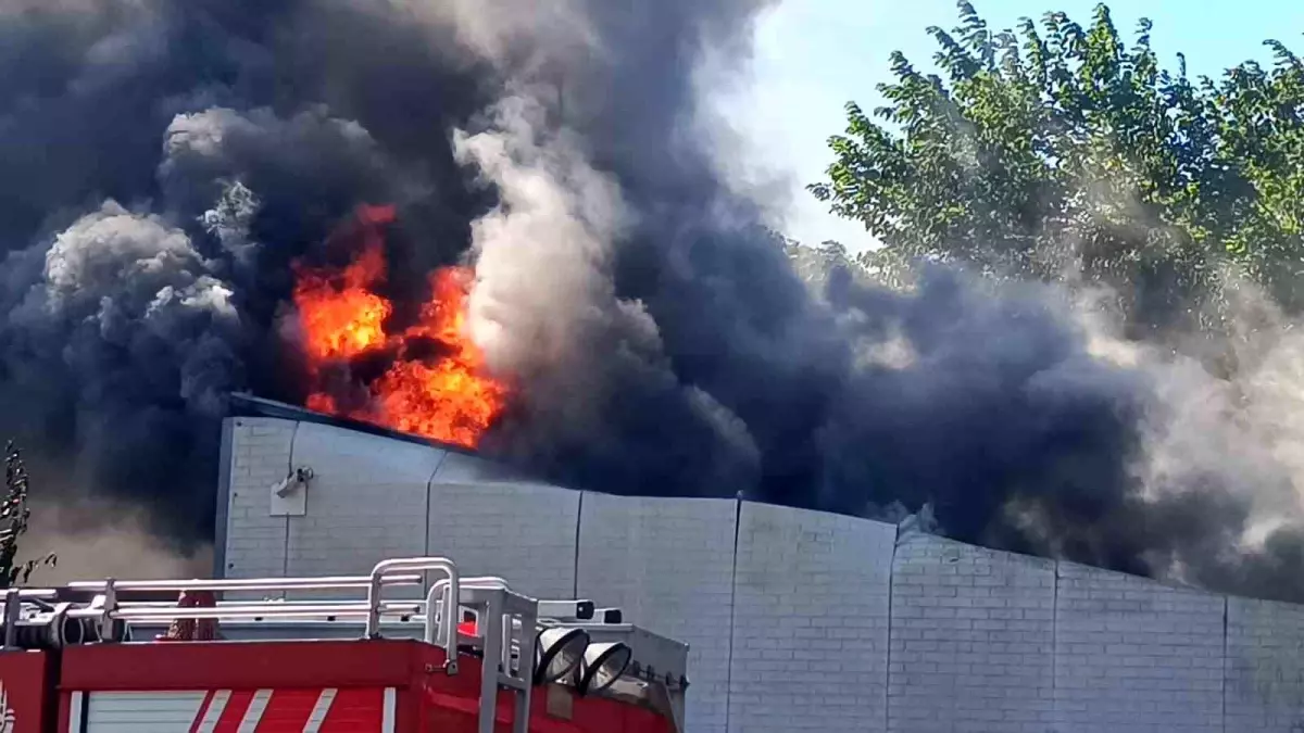 Pendik'teki Atık Su Arıtma Tesisinde Yangın Çıktı