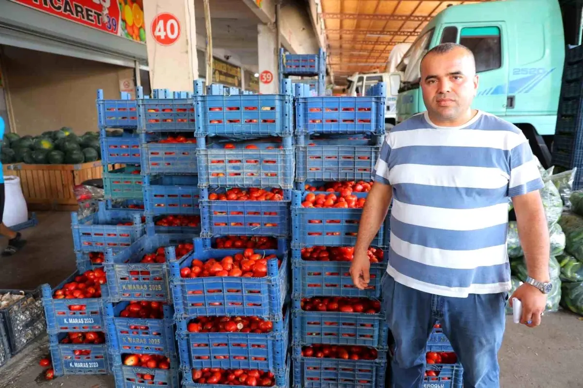 Kahramanmaraş'ta Domates Fiyatları 3 TL'ye Düştü, Salça Sezonu Bekleniyor
