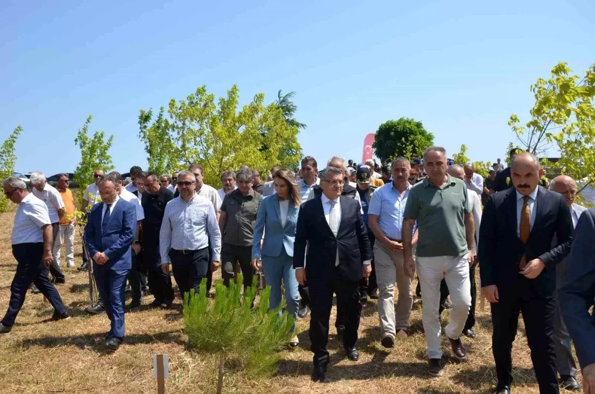 Sinop'ta Şehit Ömer Can Açıkgöz'ün adı hatıra ormanında yaşatılıyor