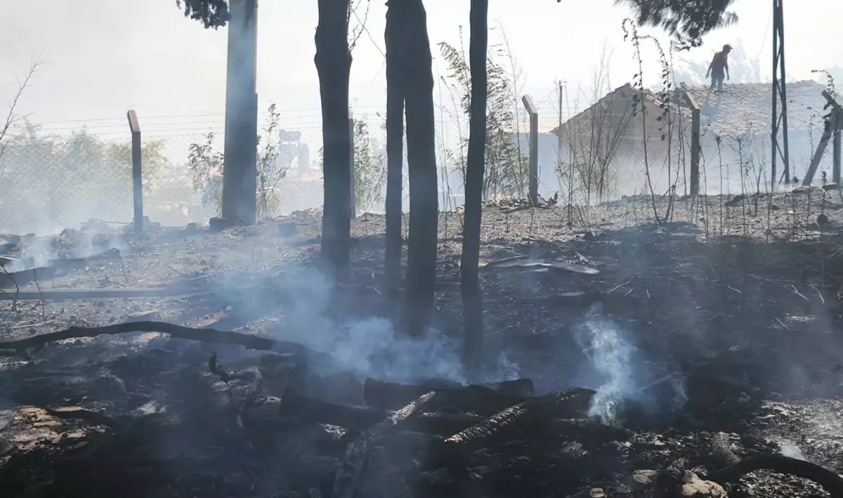 Çanakkale'de Tarım Arazisinde Yangın Kontrol Altına Alındı