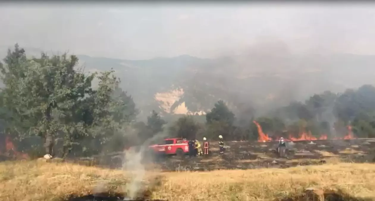 Beypazarı'nda Tarım Arazisinde Yangın Kontrol Altına Alındı
