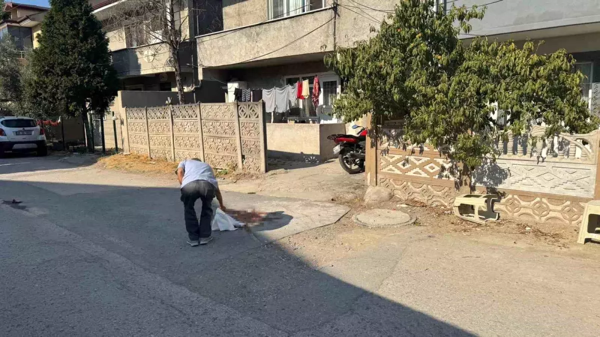 Babasını Pompalı Tüfekle Yaralayan Oğul Camide Yakalandı