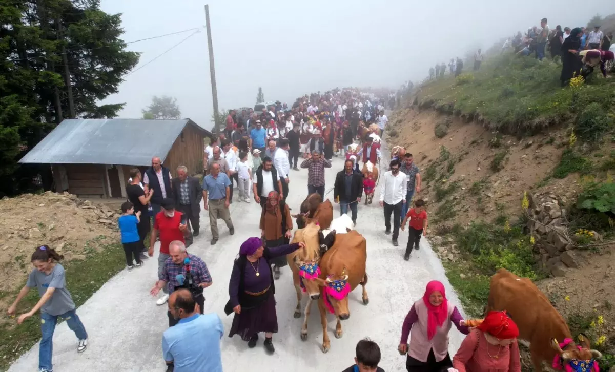 Akçaabat'ta Geleneksel Yayla Göçü Şenliği Yağmurlar Eşliğinde Kutlandı