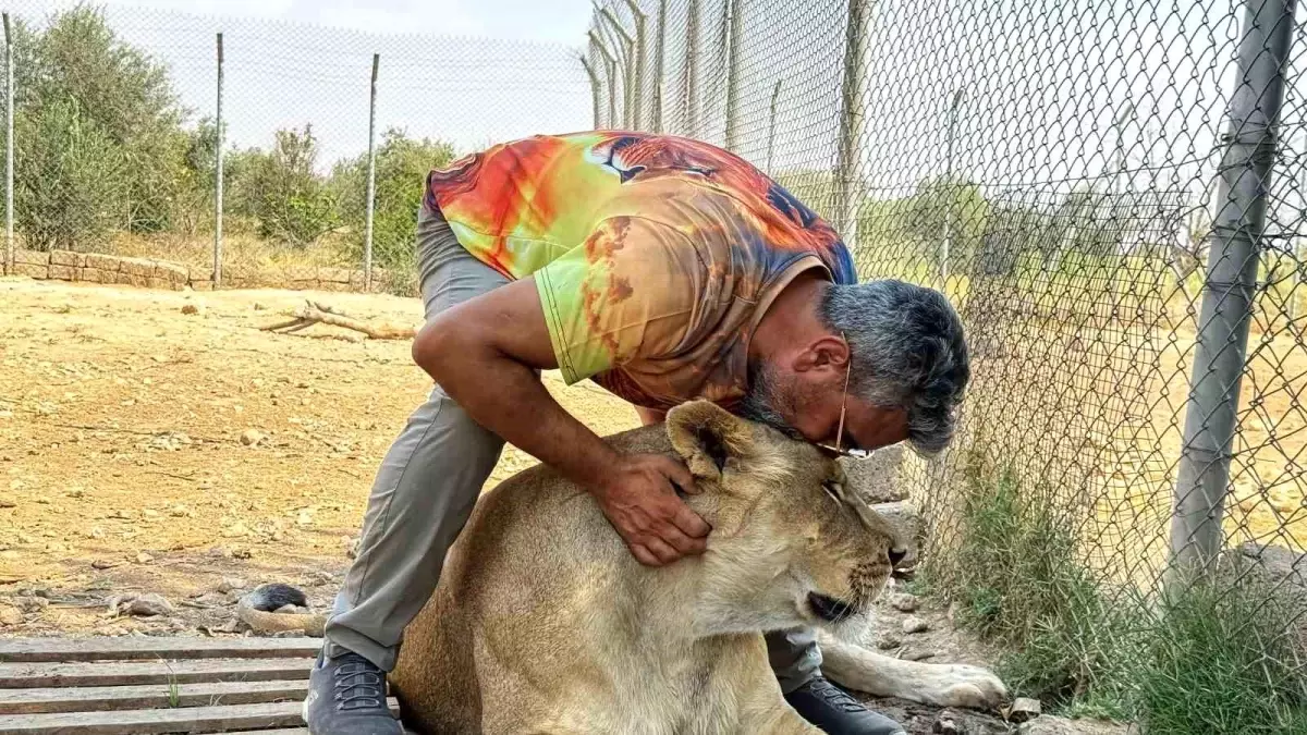 Diyarbakırlı İş Adamından Aslan Saldırısına Tepki