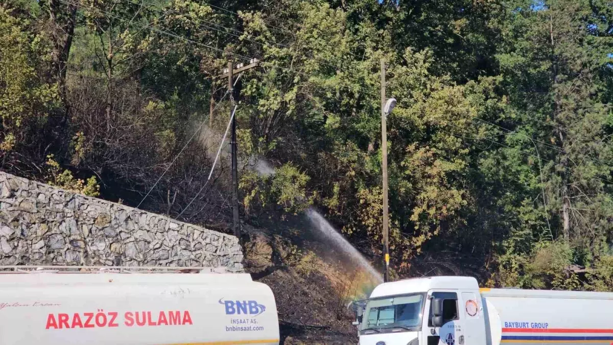 Zonguldak'ta Çıkan Örtü Yangını Kontrol Altına Alındı