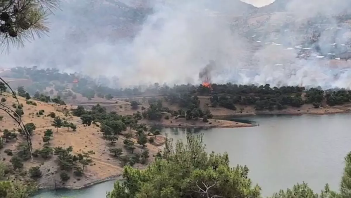 Adıyaman'da Orman Yangını Başladı
