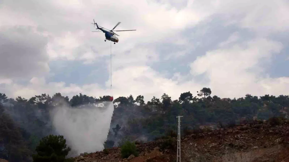 Adıyaman'da Orman Yangını: 200 Dönüm Alan Yandı