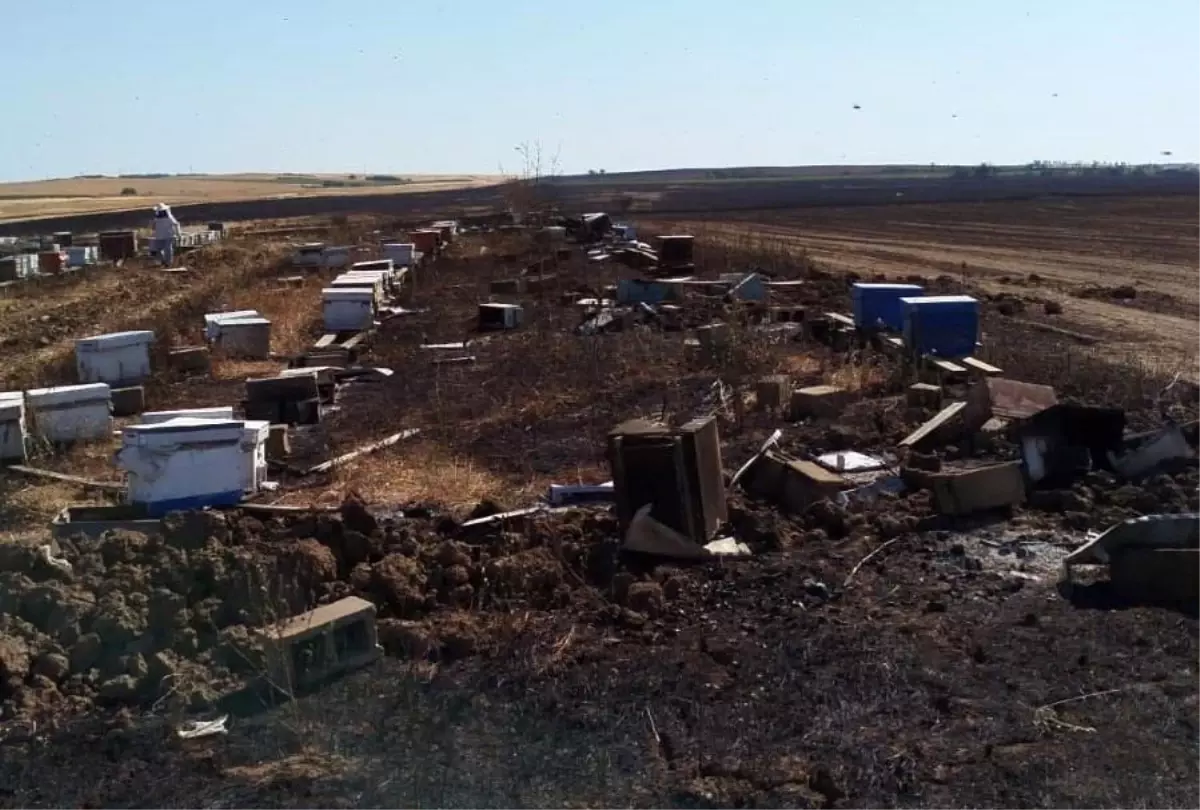 Tekirdağ'da Anız Yangını: 400 Arı Kovanı Yandı