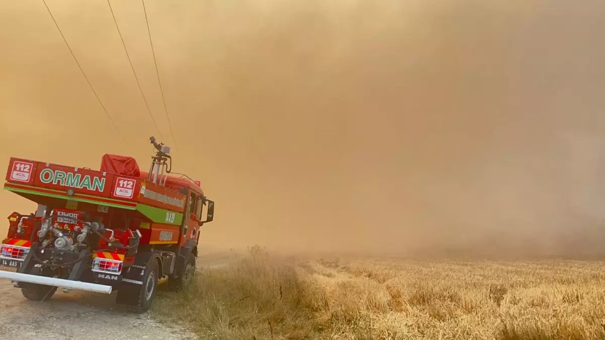Mudurnu'da Tarım Arazisinde Yangın Ormana Sıçradı