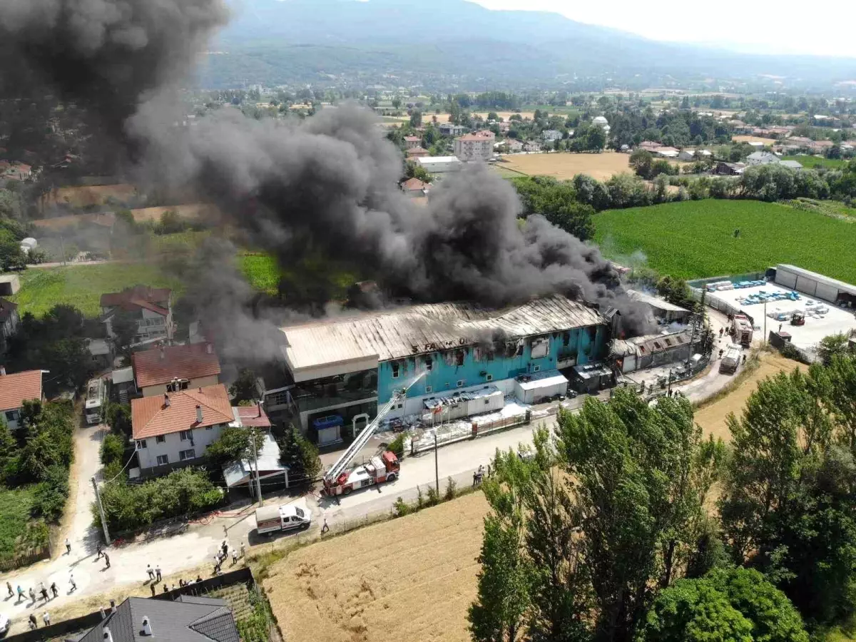 Bolu'da Medikal Fabrikada Yangın: Müdahale Devam Ediyor
