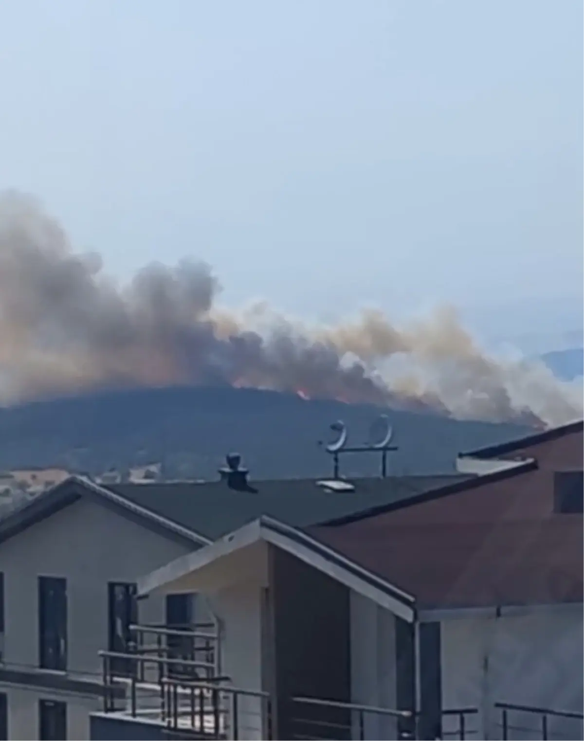 Bursa'da Çıkan Yangın Ormana Sıçradı