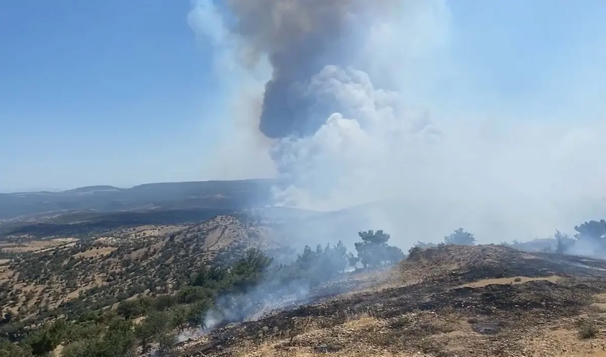 Çanakkale Ayvacık’ta Orman Yangını Çıktı