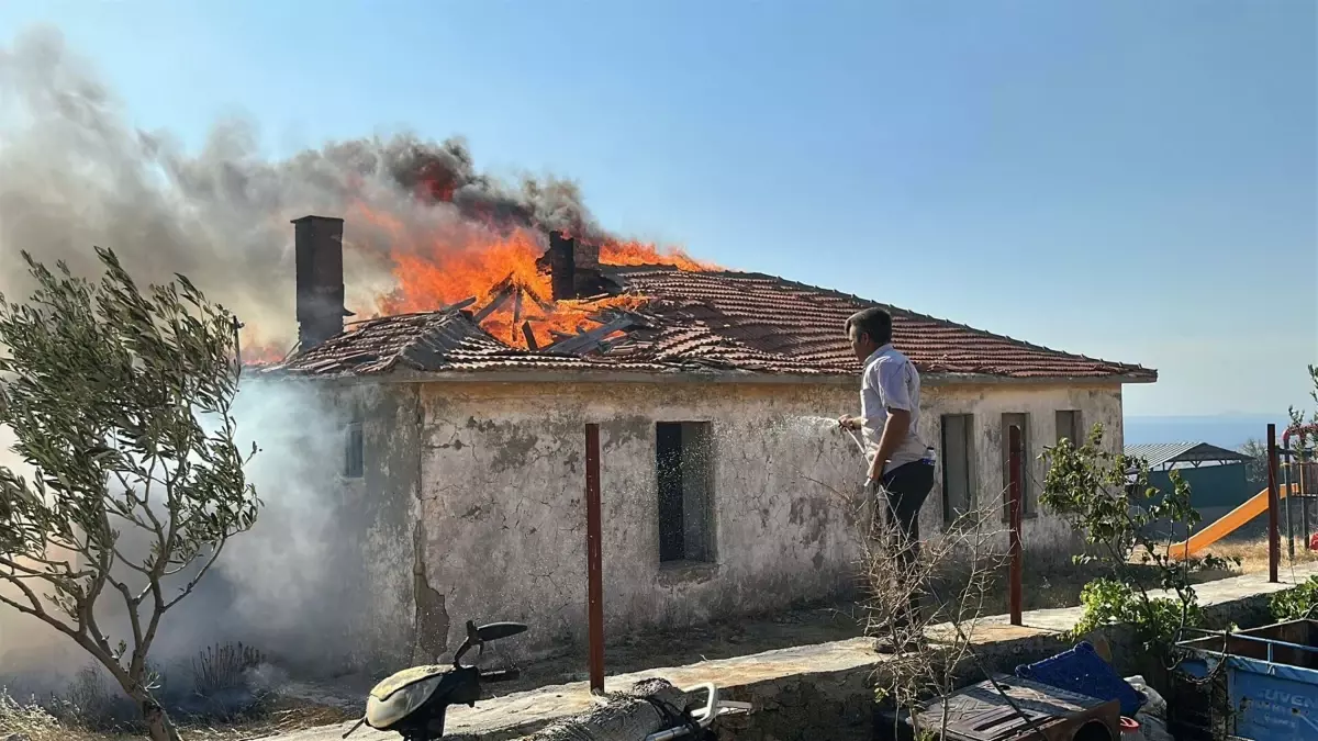 Ayvacık'ta Orman Yangını Köye Zarar Verdi