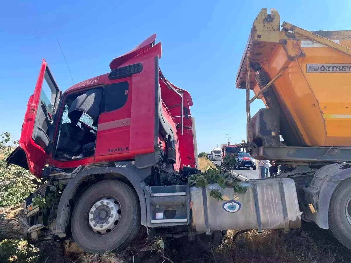 Tekirdağ'da Hafriyat Kamyonu Ağaçla Çarpıştı: 2 Yaralı