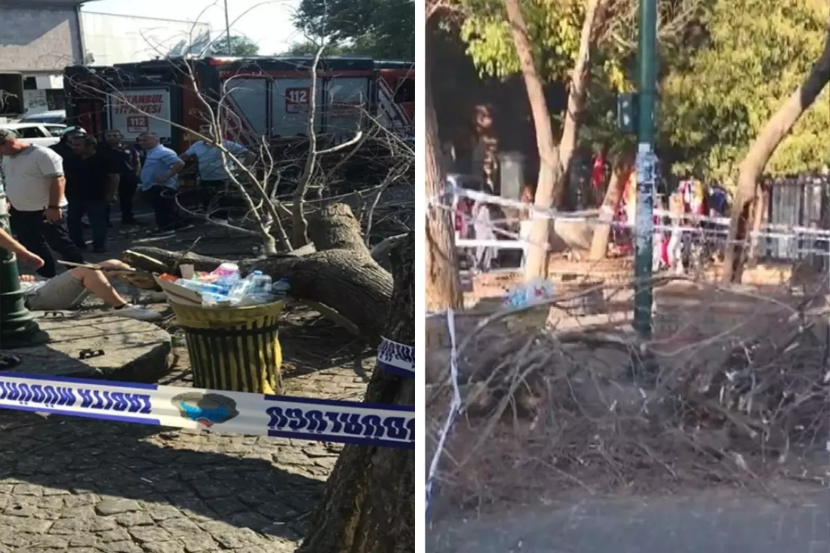 İstanbul'da rüzgarın devirdiği ağaç 3 kişiyi yaraladı