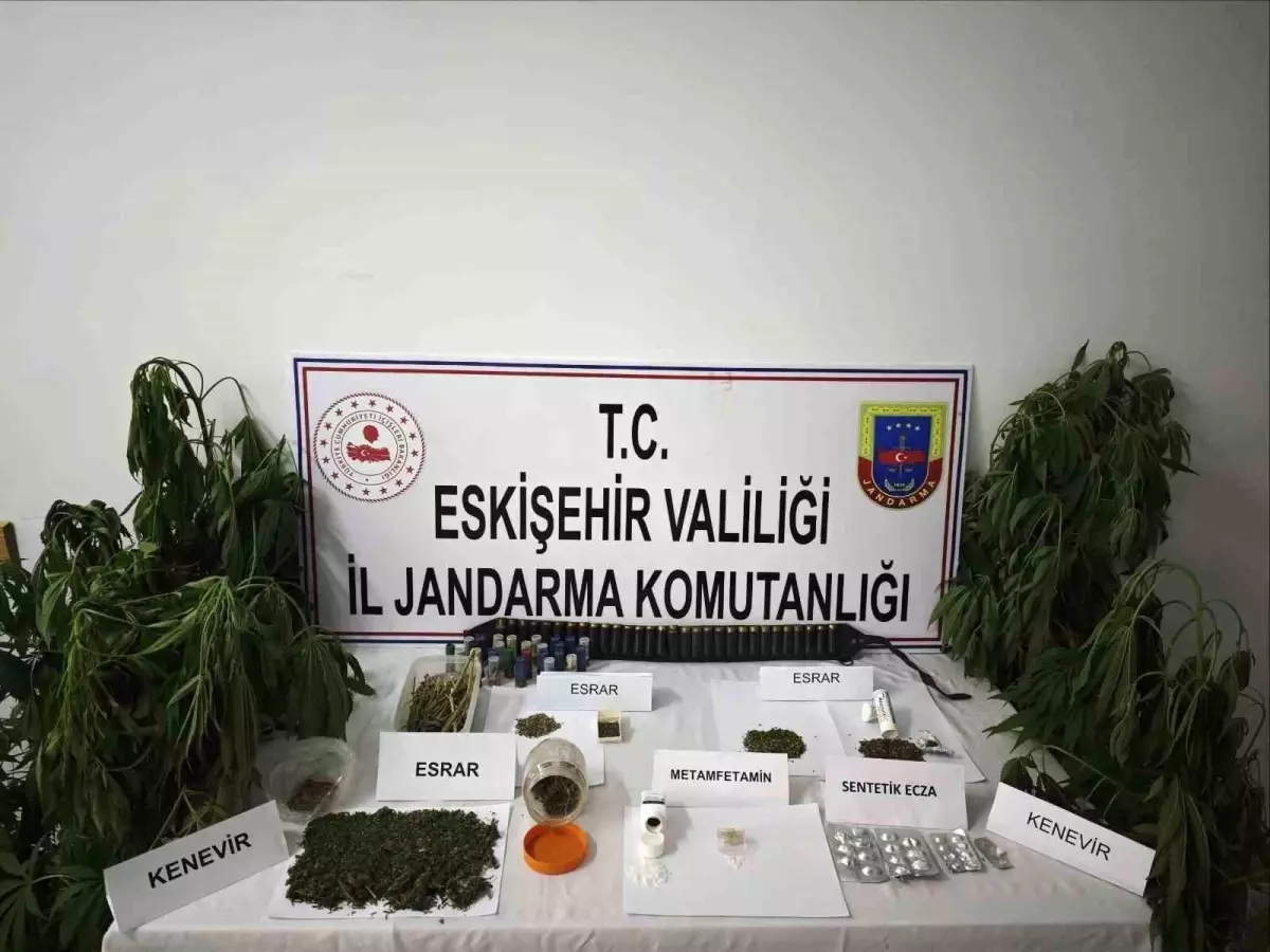 Eskişehir'de Kenevir Operasyonu: Çok Sayıda Narkotik Madde ve Silah Ele Geçirildi