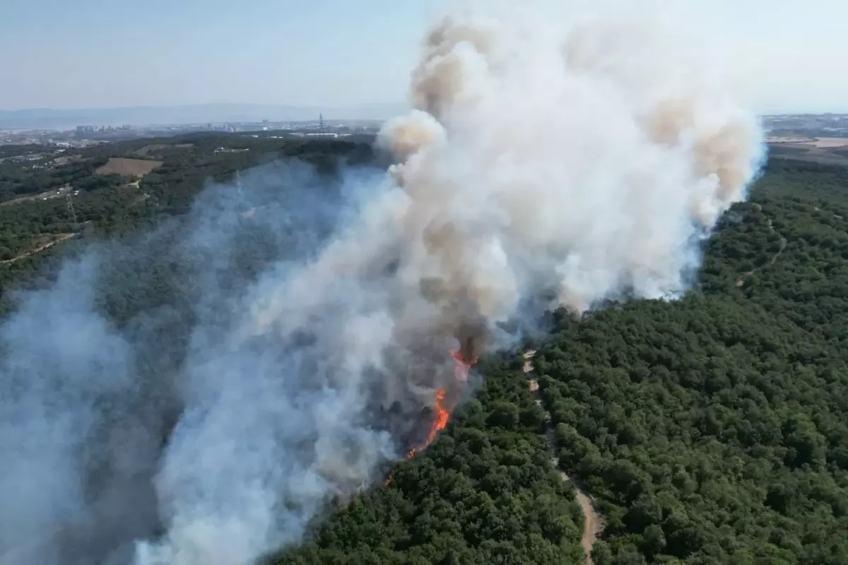 Havadan ve Karadan Yangın Mücadelesi Devam Ediyor