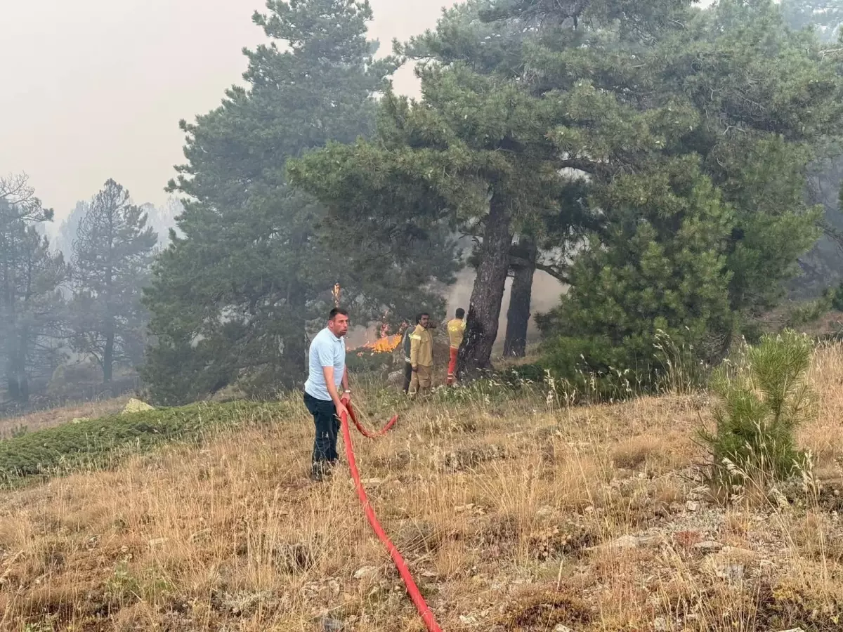 Konya'da Orman Yangını ile İlgili 15 Yaşındaki Çocuk Gözaltına Alındı