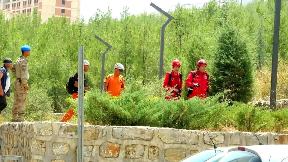 Alzheimer Hastası Sabriye Dedeoğlu'nun Kayboluşunun Üzerinden 1 Yıl Geçti