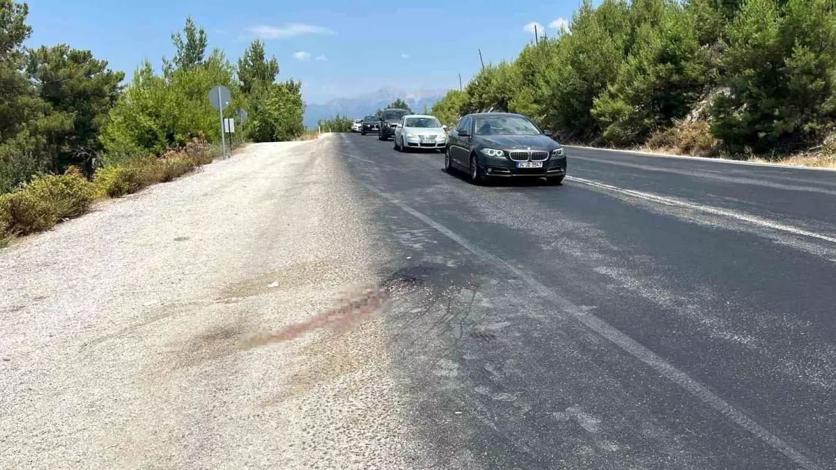 Muğla'da Otobüs Çarpması Sonucu Yaya Hayatını Kaybetti