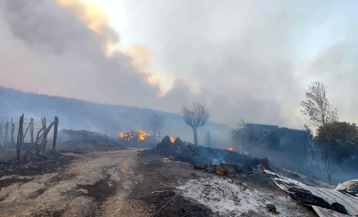 Tekirdağ'da Orman Yangını: İki Mahalle Boşaltıldı
