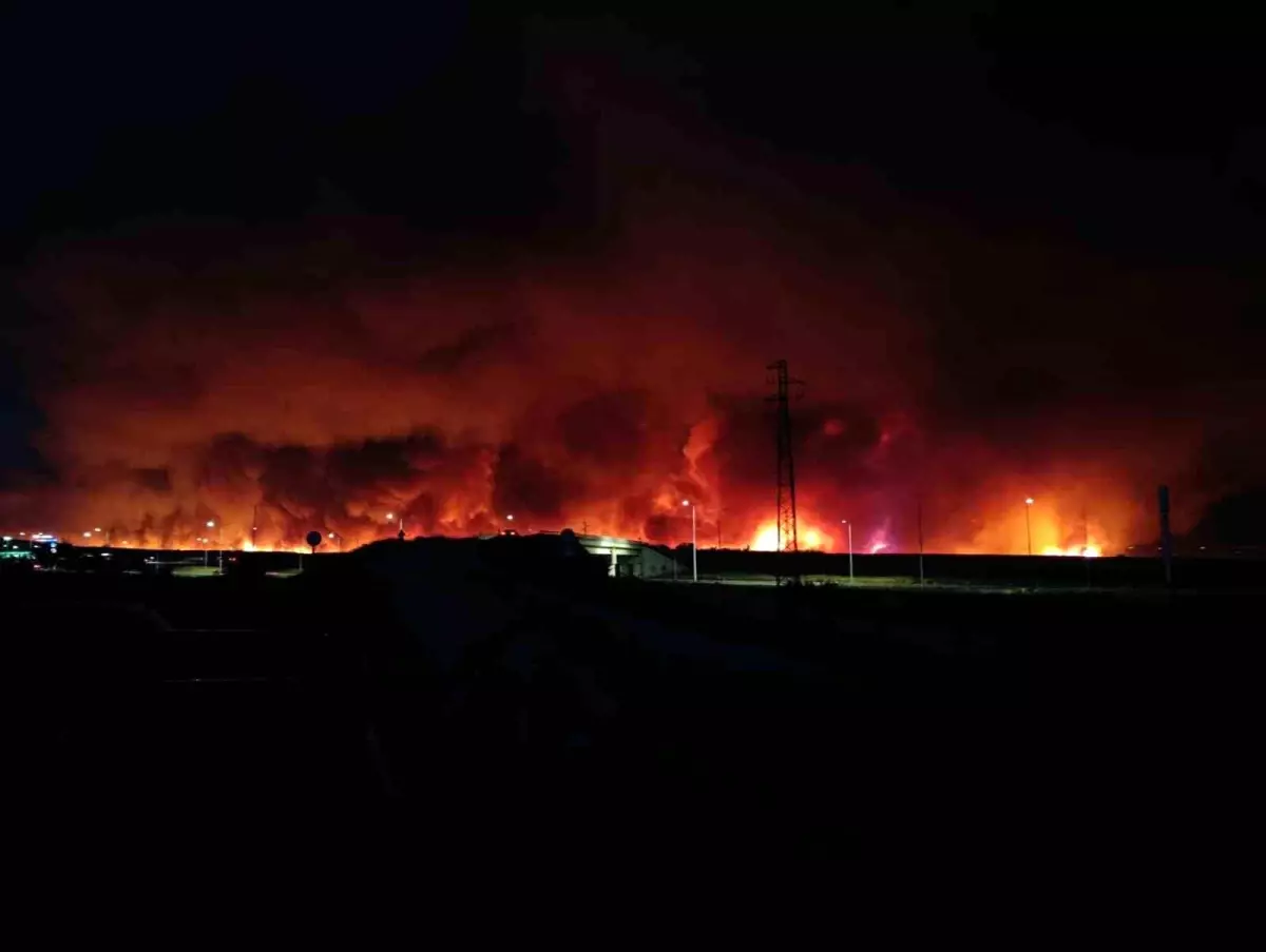 Tekirdağ'da Orman Yangını Paniğe Neden Oldu