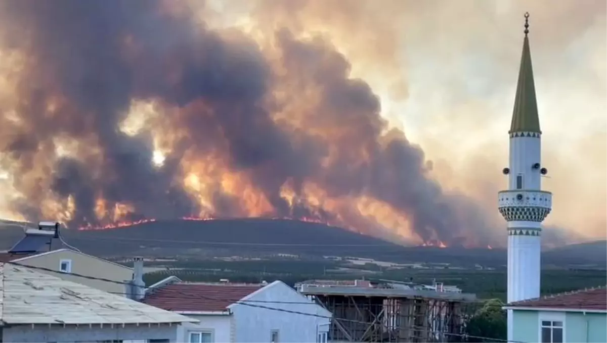 Tekirdağ'da Orman Yangını: 2 Mahalle Tahliye Edildi