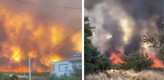 Türkiye yangın yeri! İki kentte durum vahim
