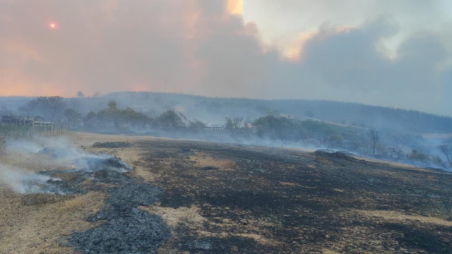 Turkey fire site! The situation is grave in two cities