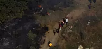 Yalova'da arazi yangını! Köy halkı da söndürme çalışmalarına destek verdi