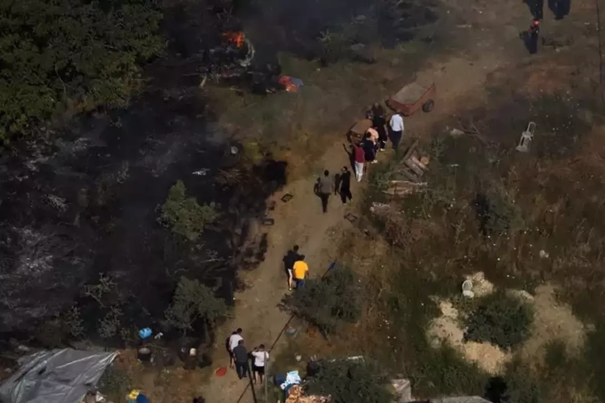 Yalova'da arazi yangını! Köy halkı da söndürme çalışmalarına destek verdi