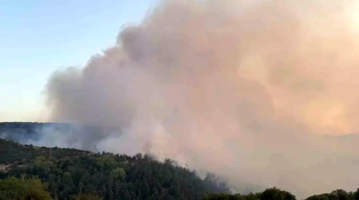 Balıkesir'de Orman Yangınına Müdahale Devam Ediyor