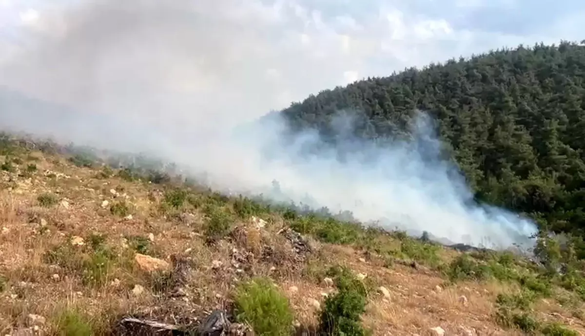 Bilecik'te İkinci Orman Yangını Kısa Sürede Söndürüldü