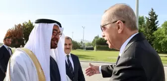 BAE Devlet Başkanı El Nahyan Türkiye'ye geliyor! Çok sayıda anlaşma imzalanacak