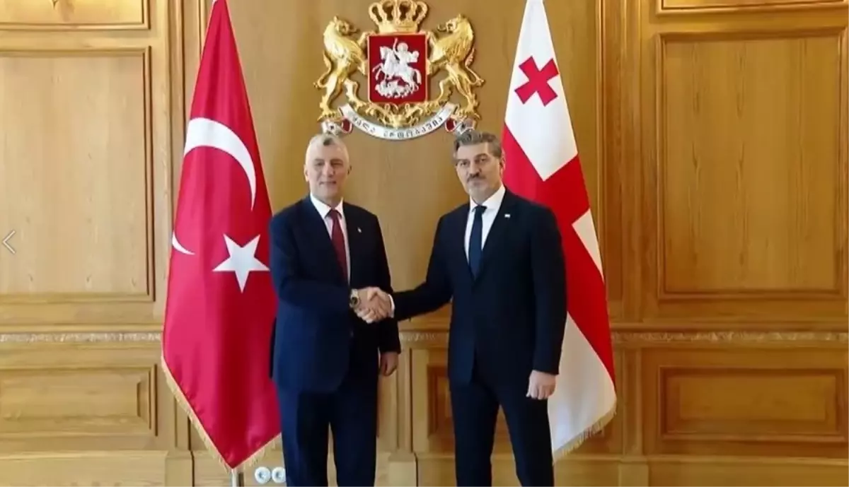 Ticaret Bakanı Ömer Bolat, Gürcistan Cumhurbaşkanı ile Görüştü