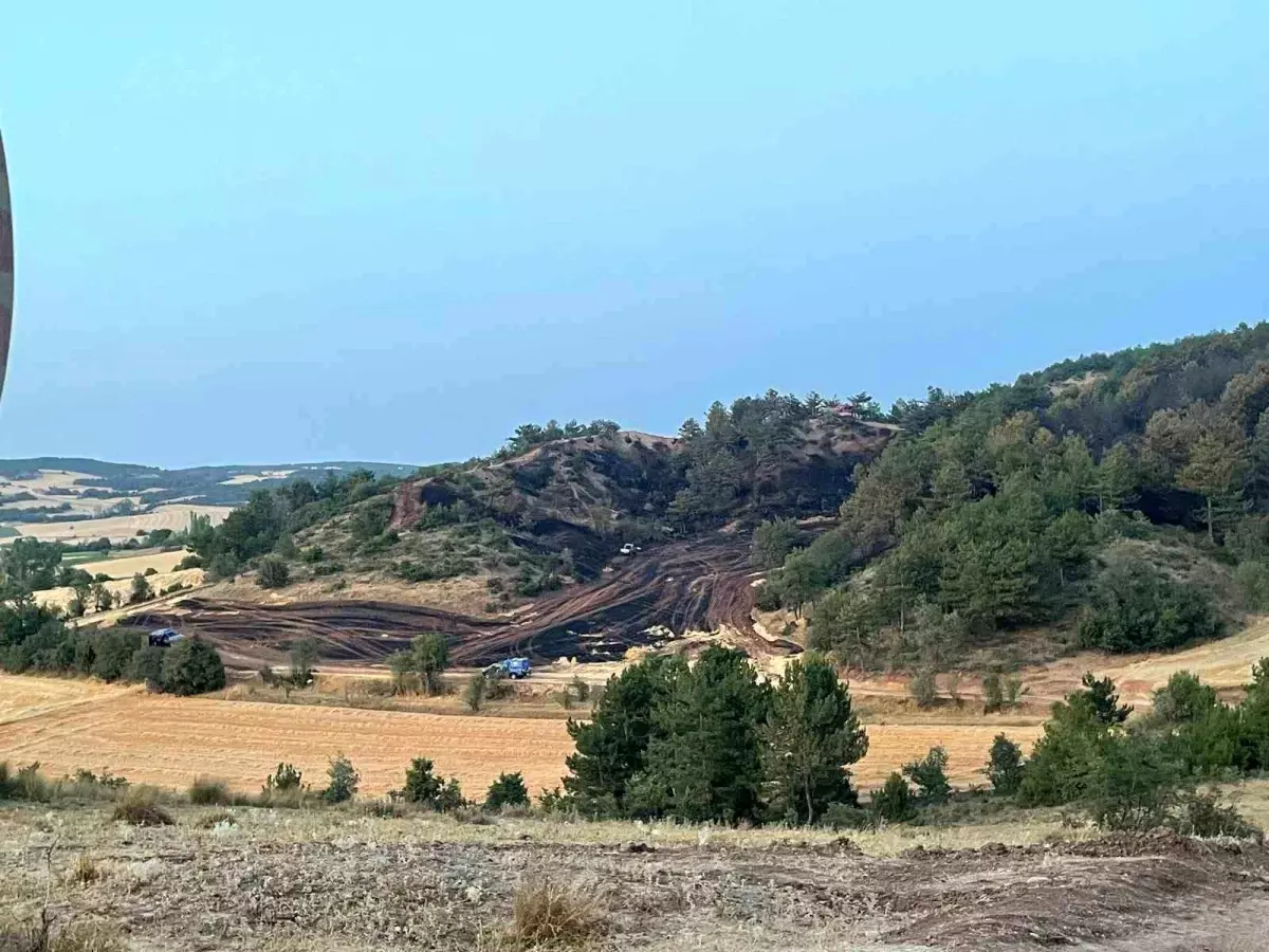 Bolu'da Orman Yangını Kontrol Altına Alındı