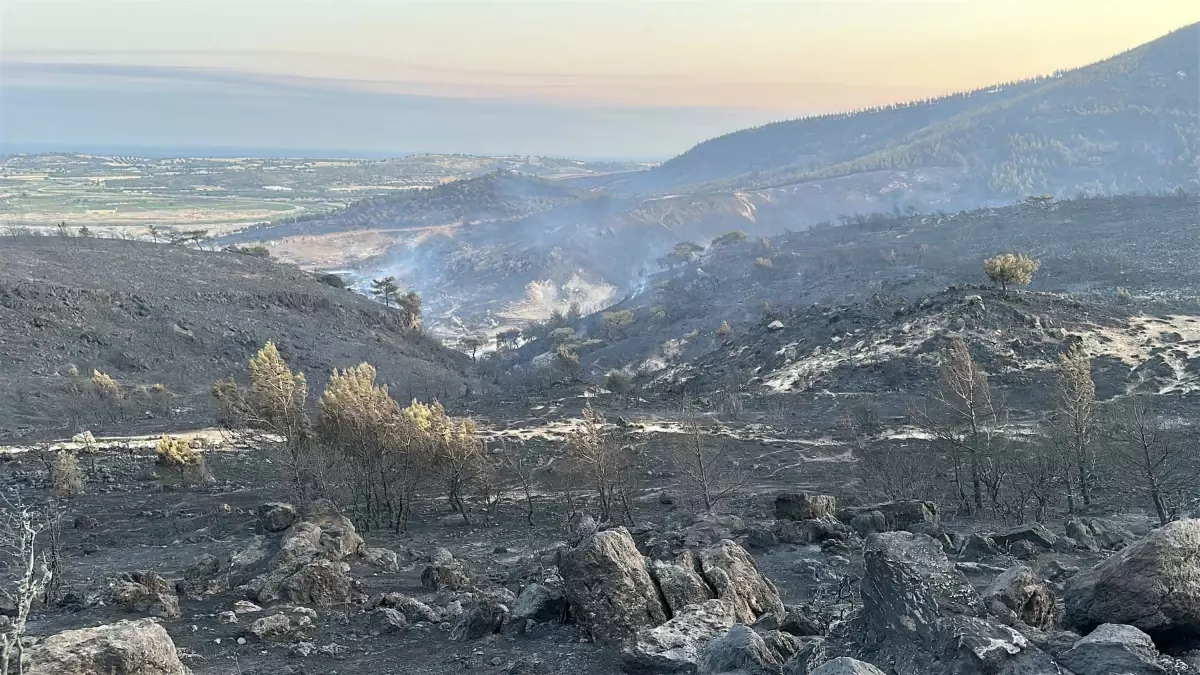 Çanakkale'de Orman Yangınına Havadan ve Kardan Müdahale