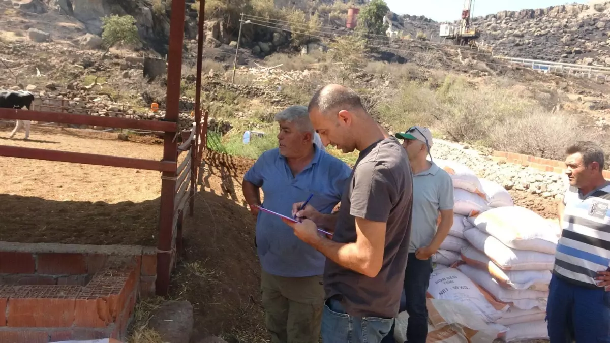 Çanakkale'deki Orman Yangını Kontrol Altına Alındı