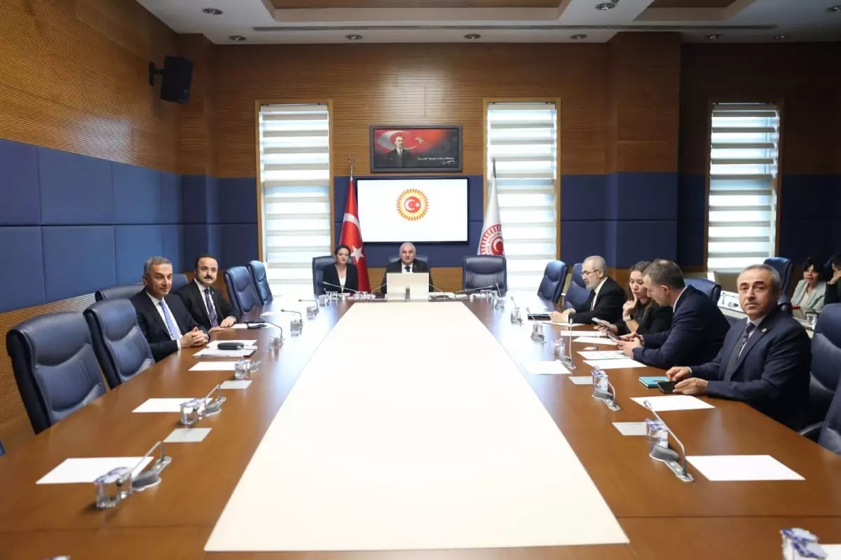 TBMM İnsan Hakları Komisyonu Ayrımcılıkla Mücadele İçin Toplandı