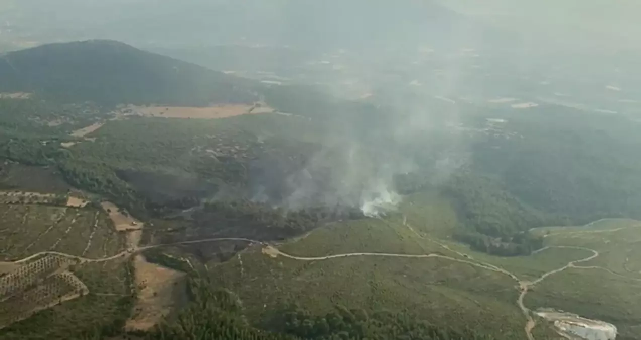 Muğla'da Orman Yangını Kontrol Altına Alındı