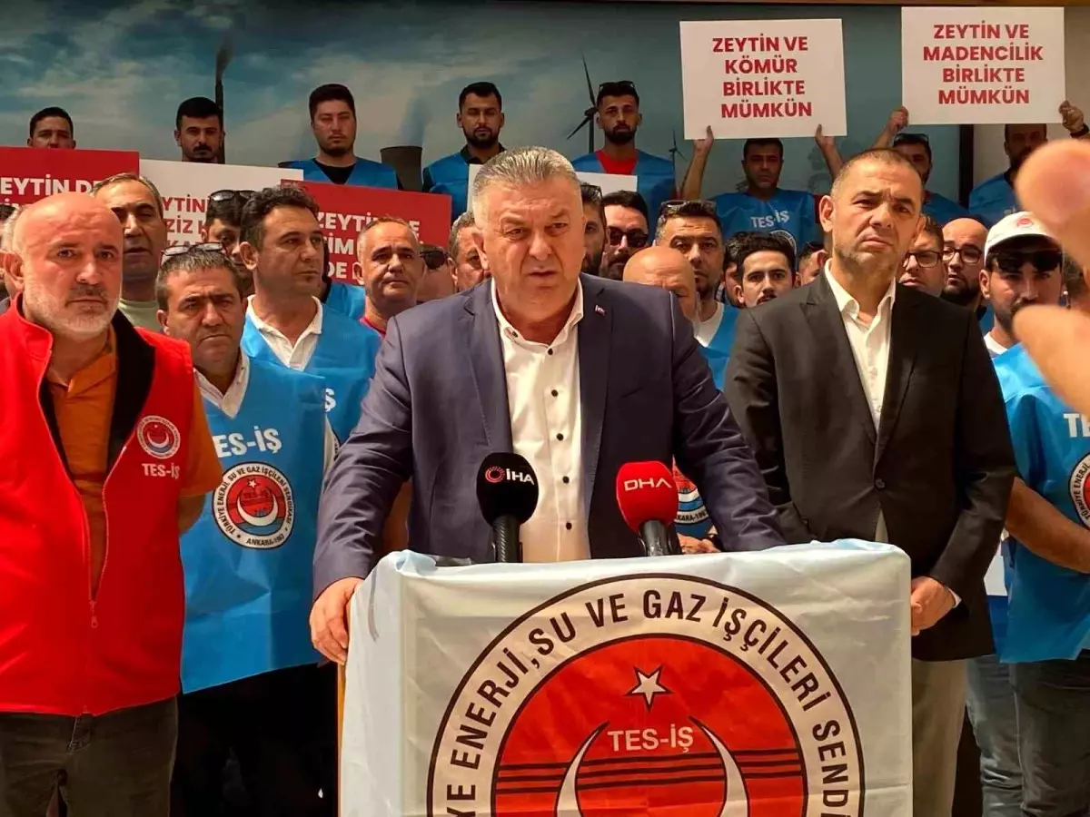 TES-İŞ Başkanı: Zeytin ve Maden Zenginliklerini Koruyacağız