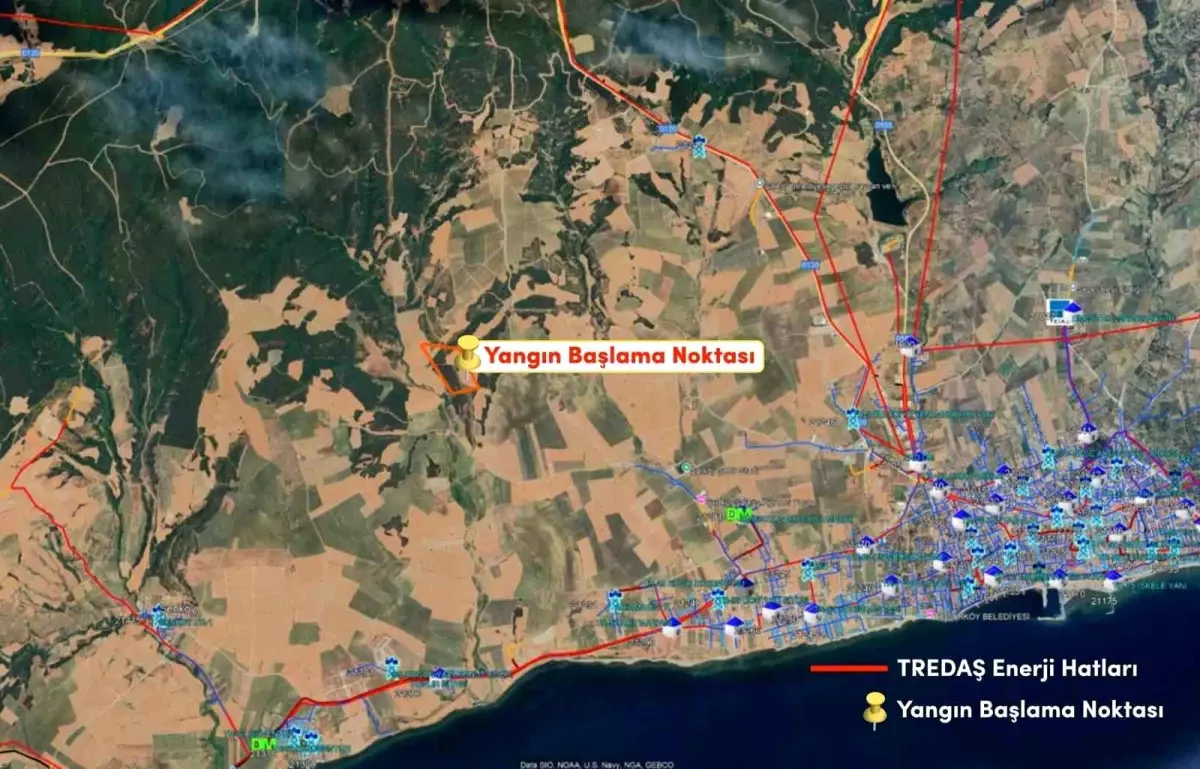 TREDAŞ'tan Orman Yangını Açıklaması: Elektrik Hattı Yok