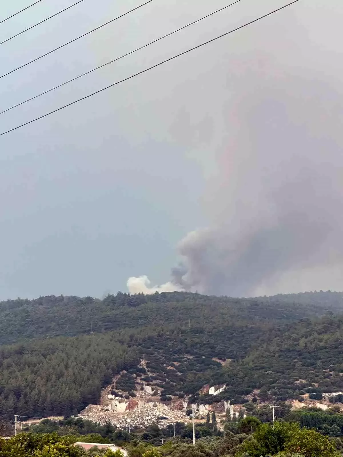 Muğla'nın Yatağan İlçesinde Yıldırım Kaynaklı Orman Yangını